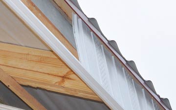 why Lochside fascia repairs are essential